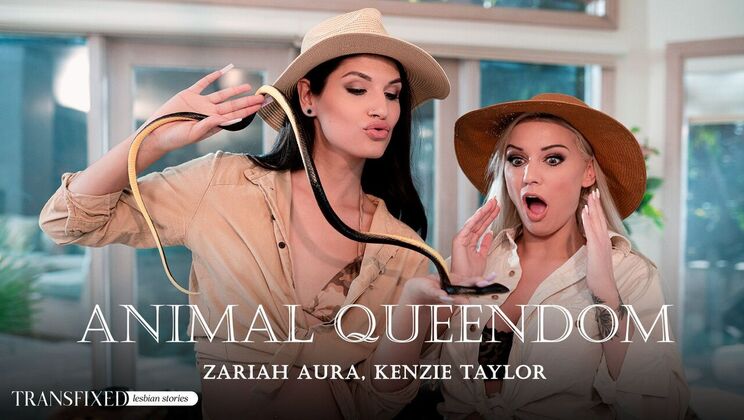 Transfixed - Kenzie Taylor - Zariah Aura - Animal Queendom / 06.03.2024