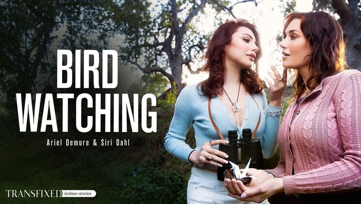Transfixed - Siri Dahl - Ariel Demure - Bird Watching / 05.10.2023