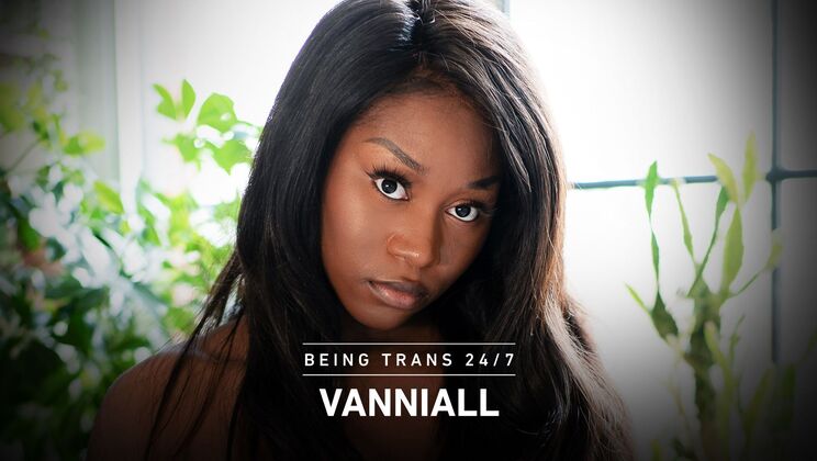 Transfixed - Vanniall - Ashley Lake - Vanniall / 17.05.2021