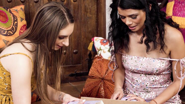 Web Young - Penelope Kay - Harley Haze - What's In Her Box? / 20.08.2021